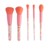 Oh Flossy - Sprinkle Brush Set - FL229168 thumbnail-1