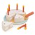 Mentari - Fødselsdagskage med lys thumbnail-3