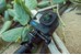GoPro - Max Lens Mod 2.0 For HERO12 Black thumbnail-4
