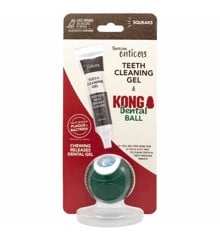 TROPICLEAN / KONG - Dental Ball Til Tandresning M 11-25kg