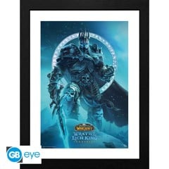 WORLD OF WARCRAFT - Framed print "Lich King" (30x40)