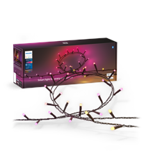 Philips Hue - Festavia Lichterkette - 500 LEDs EU 2x20 Meter