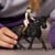 Schleich - Horse Club - Heste Klub Tori og Prinsesse (42640) thumbnail-2