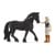 Schleich - Horse Club - Heste Klub Tori og Prinsesse (42640) thumbnail-2
