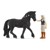 Schleich - Horse Club - Horse Club Tori & Princess (42640) thumbnail-2