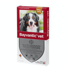 Bayvantic Vet. - Bayvantic Vet. For dogs over 40 kg - (423894)