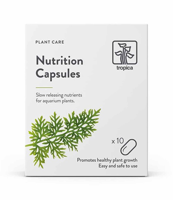 TROPICA - Nutrition Capsules 10pc - (144.0050)