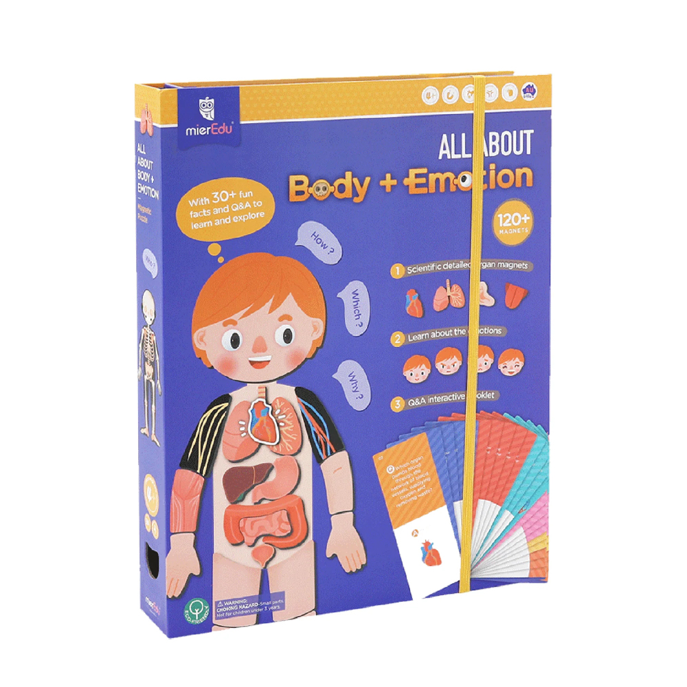 mierEdu - Magnetic Learning Box - All About Body and Emotion - (ME097) - Leker