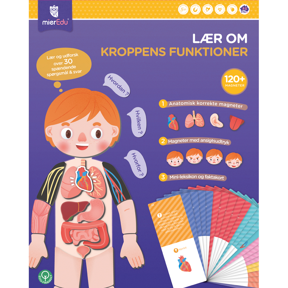 mierEdu - Magnetic Learning Box - All About Body and Emotion (Danish) - (ME097D) - Leker