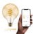 Hombli - Smart Bulb G95 CCT Filament - Amber thumbnail-4