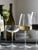 Luigi Bormioli - Optica Champagne bowl 30 cl 4 pcs. thumbnail-3