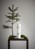 Uyuni - LED pillar Christmas candle - White, Smooth - 5,8x22 cm (UL-30355) thumbnail-2