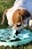 Confetti Dogs - Blomster Slikkemåtte 20 x 20 x 2 cm thumbnail-5
