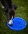 Confetti Dogs - Swirl Slowfeeder 20 x 20 x 3,5 cm - (PSW7358S) thumbnail-3