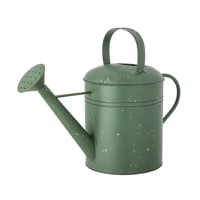 Creative Collection - Anemone Watering Can, Green, Metal (82060342)