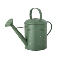 Creative Collection - Anemone Watering Can, Green, Metal (82060342)