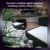 Philips Hue - 2x Amarant Spotlight - White & Color Ambiance - Bundle thumbnail-3