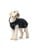 Hunter - Dog Coat Monaco 30cm, Black - (67670) thumbnail-5