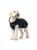 Hunter - Dog Coat Monaco 50cm thumbnail-5