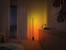 Philips Hue - Signe Golvlykta - Gradient - White & Color Ambiance thumbnail-13