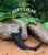 Jurassic Park Velociraptor Claw Bottle Opener thumbnail-4