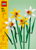 LEGO - Daffodils (40747) thumbnail-3