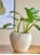 Bloomingville - Maham Flowerpot, Nature, Stoneware (82060861) thumbnail-3