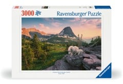 Ravensburger - Puslespil Foto City Landscape 3000 brikker