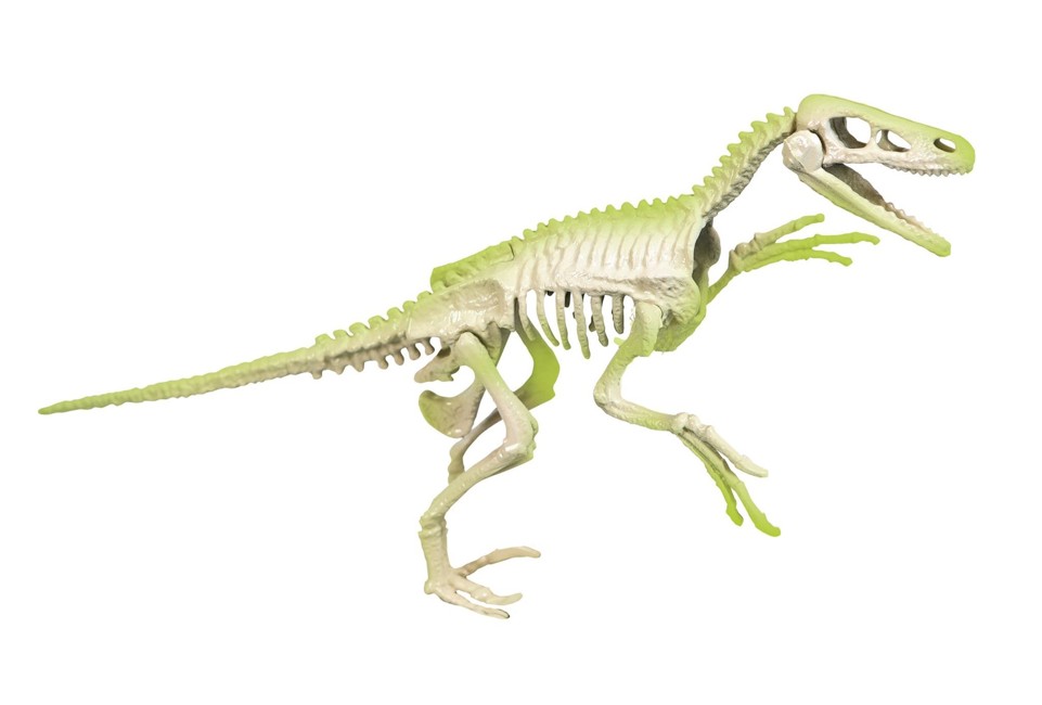 Clementoni - Archeo Fun Velociraptor (78775)