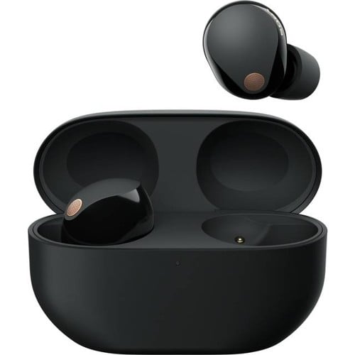 - WF-1000XM5 True Wireless Earbuds