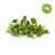 Click and Grow - Smart Garden Refill 9-pack Italian Herbs Mix thumbnail-1