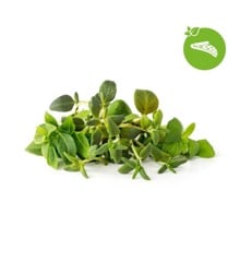 Click and Grow - Smart Garden Refill 9-pack Italian Herbs Mix
