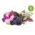 Click and Grow - Smart Garden Refill 9-pack Vibrant Flower Mix thumbnail-1