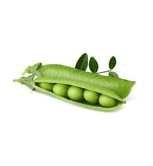 Click and Grow - Smart Garden Refill 3-pack Dwarf Pea