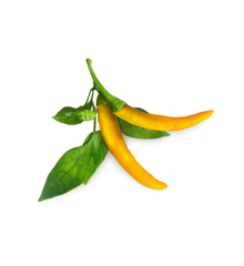 Click and Grow -- Smart Garden Refill 3-pack Yellow Chili Pepper