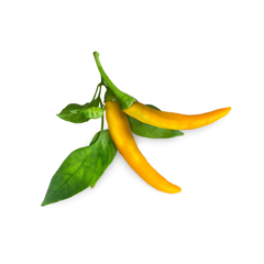 Click and Grow -- Smart Garden Refill 3-pack Yellow Chili Pepper