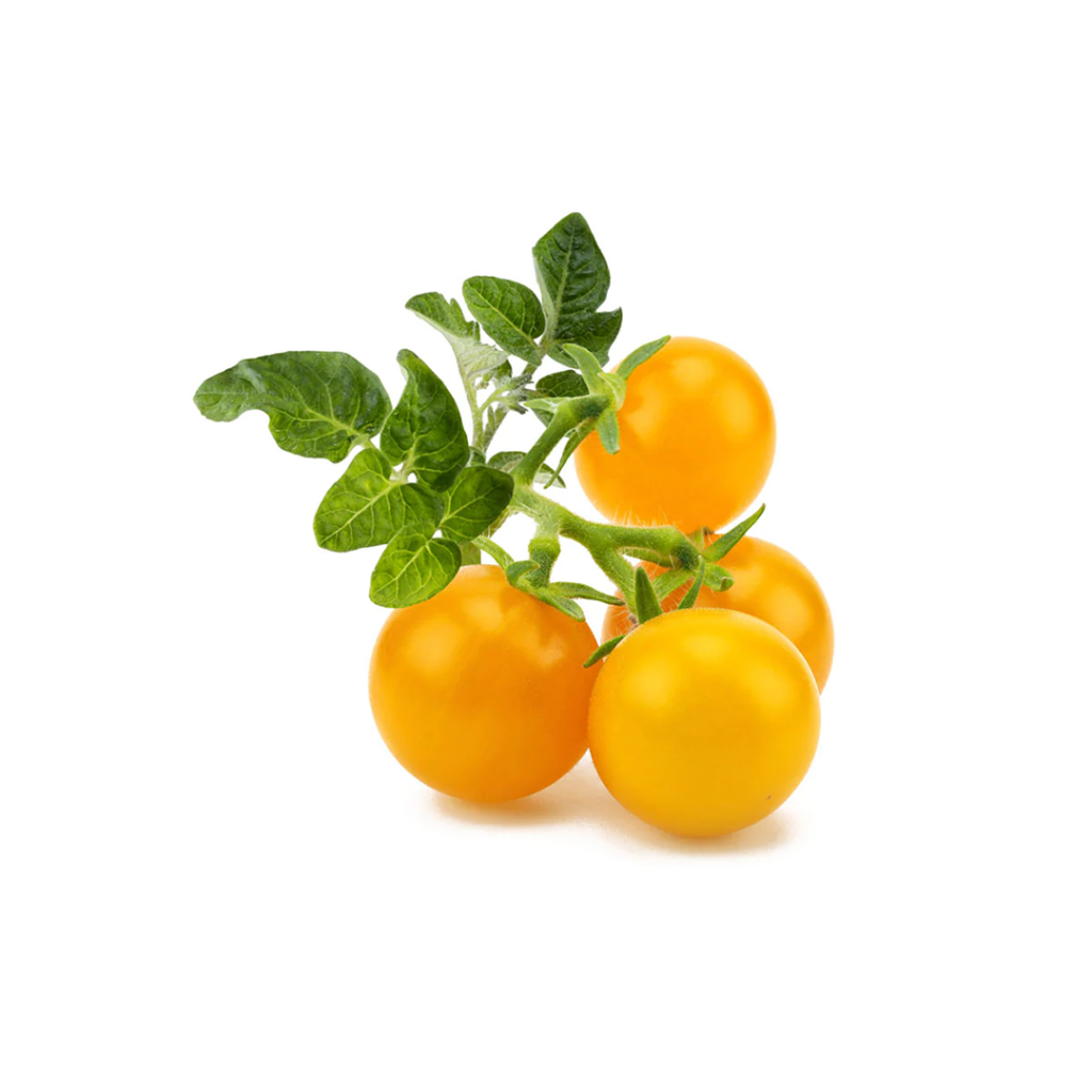 Click and Grow - Smart Garden Refill 3-pack Yellow Tomato