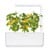 Click and Grow - Smart Garden Refill 3-pack Yellow Tomato thumbnail-2