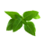 Click and Grow - Smart Garden Refill 3-pack Thai Basil thumbnail-1