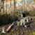 Jabadabado - Train set - (JA-W7116) thumbnail-5