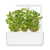 Click and Grow - Smart Garden Refill 3-pack Oregano thumbnail-3