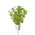 Click and Grow - Smart Garden Refill 3-pack Oregano thumbnail-4