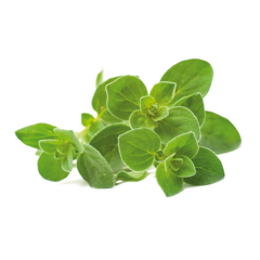 Click and Grow - Smart Garden Refill 3-pack Oregano