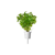 Click and Grow - Smart Garden Refill 3-pack Plain Parsley thumbnail-3