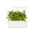Click and Grow - Smart Garden Refill 3-pack Plain Parsley thumbnail-4
