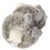 TOPModel Plush Koala Bear Mum and Baby WILD ( 0412799 ) thumbnail-2
