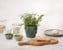 Dottir - Samsurium Mini Bowls Wasabi & Spruce, set of 2 pcs. thumbnail-2