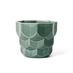 Dottir - Samsurium Flowerpot Spruce - Small