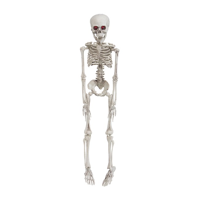 Halloween - Skeleton (50 cm)
