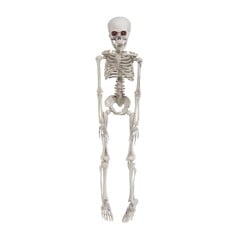 Halloween - Skeleton (50 cm)